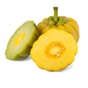 garcinia cambogia