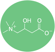 l-carnitine